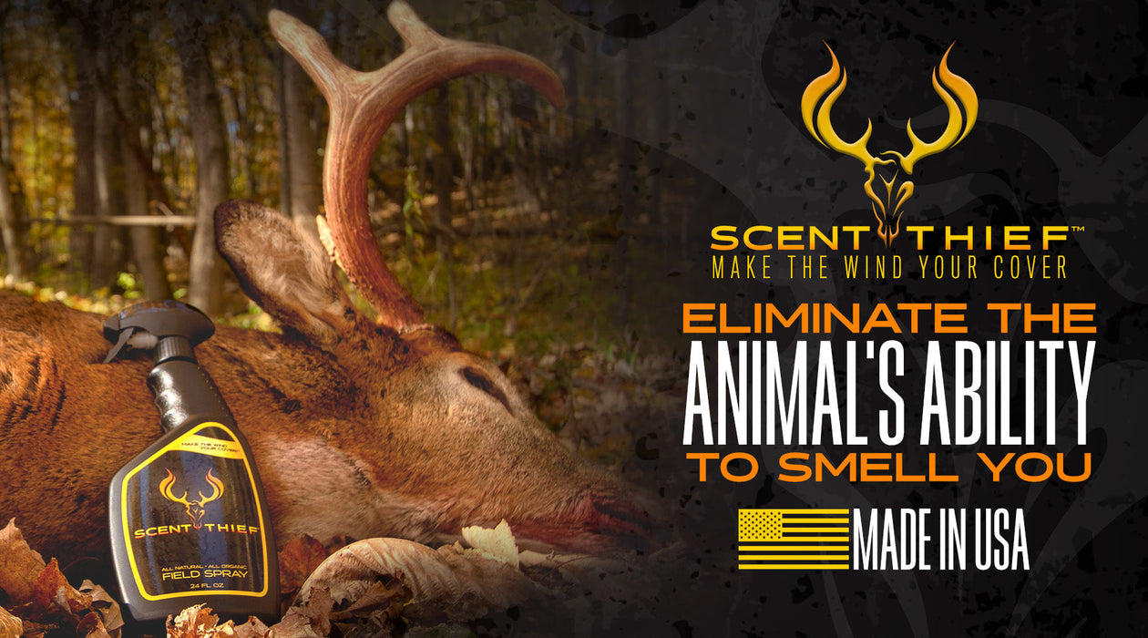 Scent Thief Combo Pack