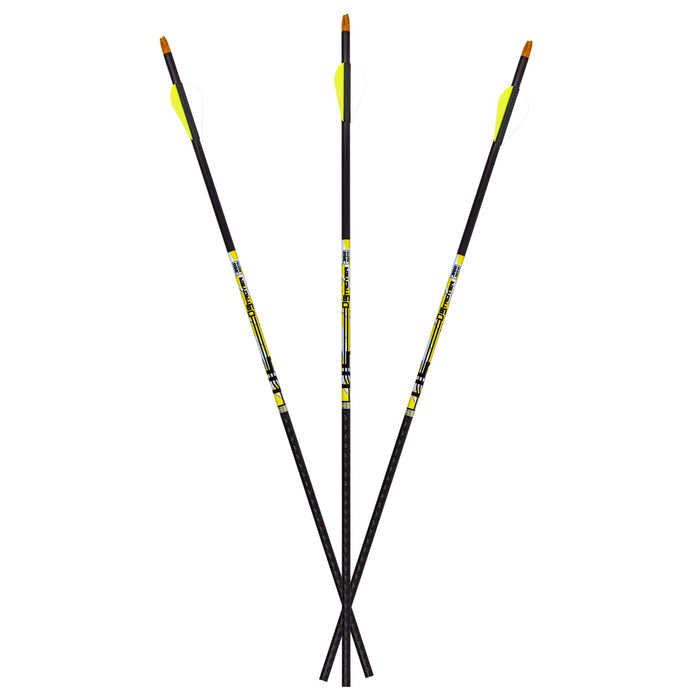 Carbon Express D-Stroyer 6-pack fletched arrows Archery Carbon Express
