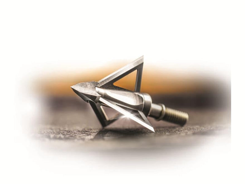 Wasp Mortem Broadhead