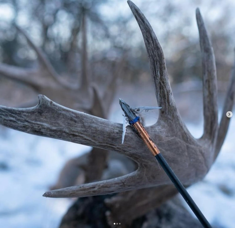 G5 Outdoors Deadmeat Broadhead, 3-Blade
