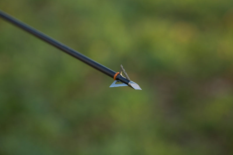 Wasp Drone Broadhead Archery, Gray
