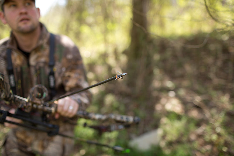 Wasp Drone Broadhead Archery, Gray