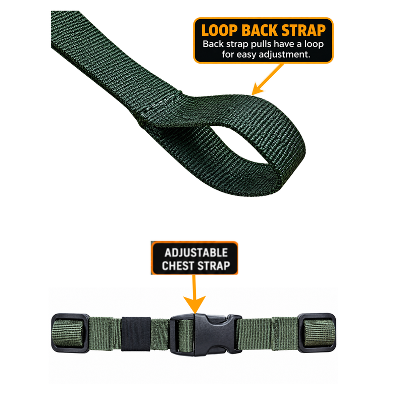 BOTTOMLAND: Pack Rat Tree Hugger FULL SEND SYSTEM