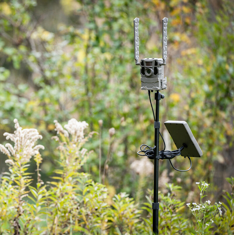 Tactacam Reveal Adjustable Camera Stake