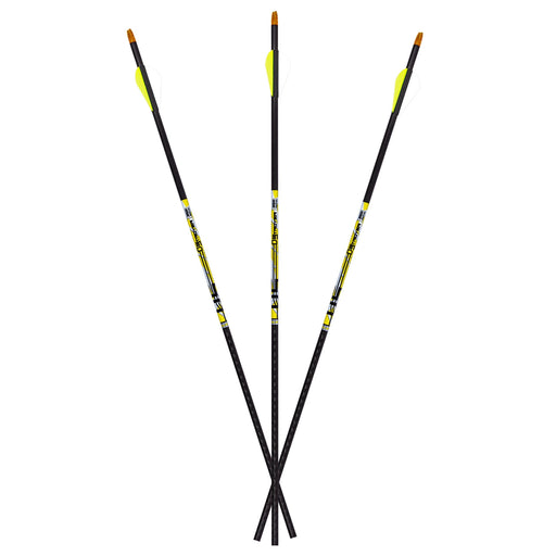 Carbon Express D-Stroyer 6-pack fletched arrows Archery Carbon Express 