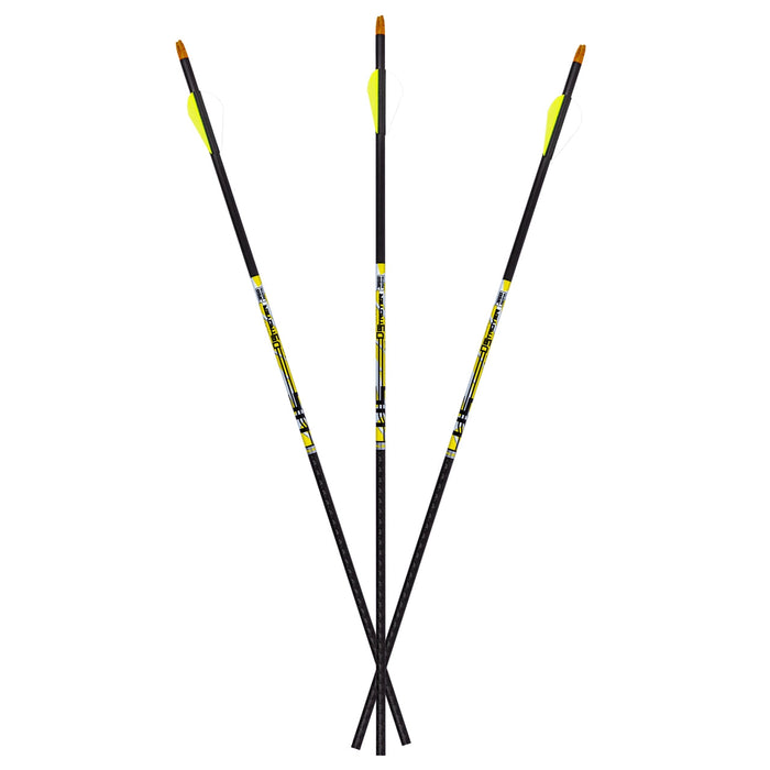 Carbon Express D-Stroyer 6-pack fletched arrows Archery Carbon Express 